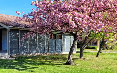 Balaton kemping – indul a szezon!