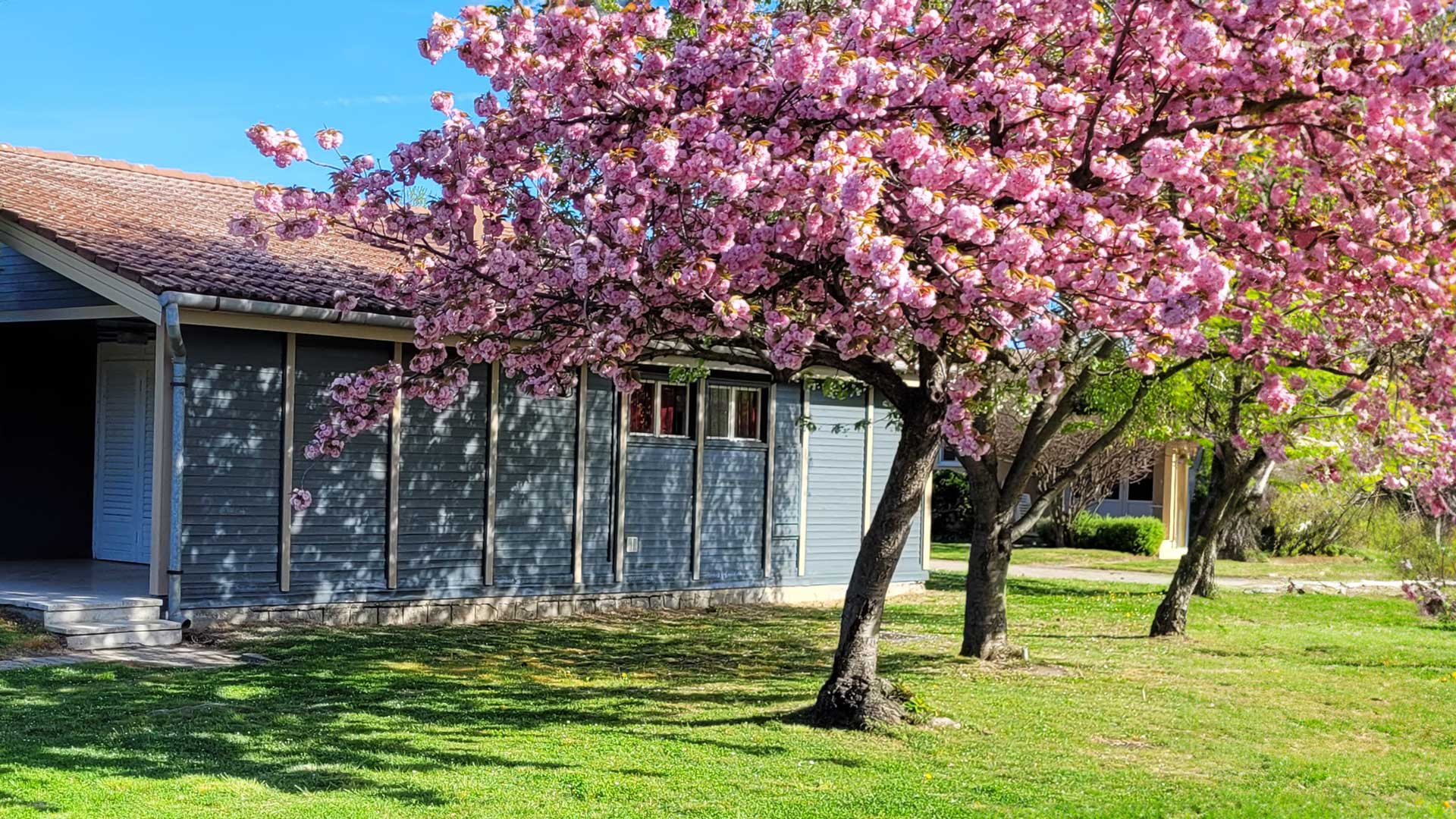 balaton kemping Aranypart Camping apartman Siófok