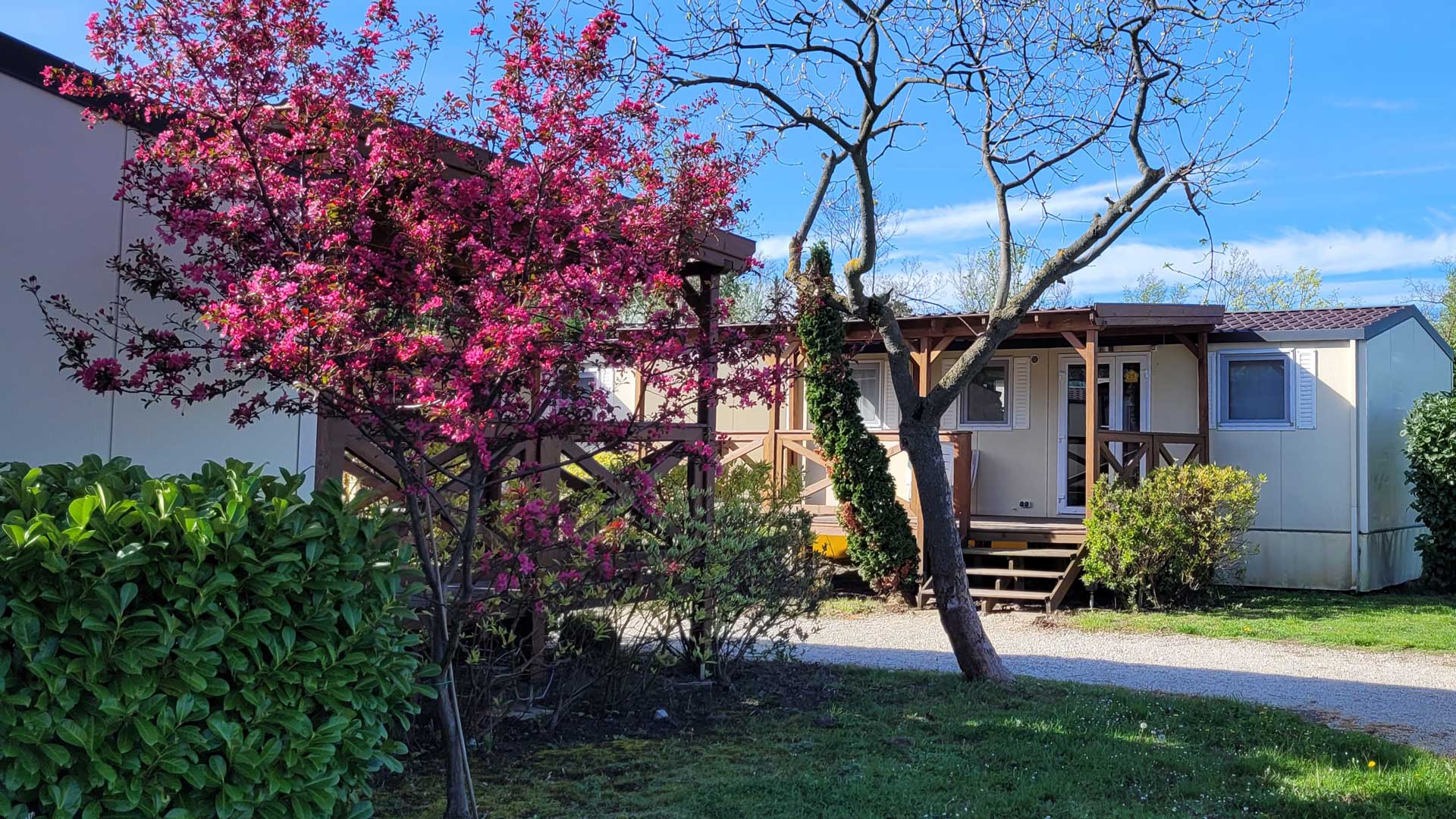 Balaton kemping - indul a szezon! 4 balaton kemping Aranypart Camping apartman Siófok