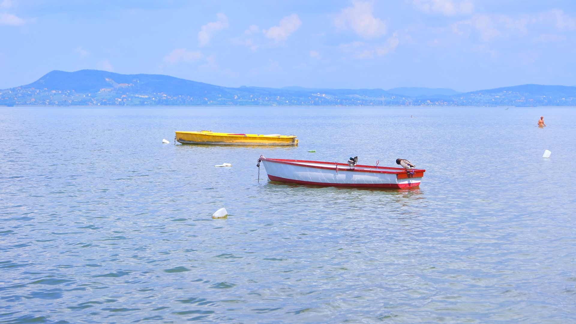 Wasserqualität des Balatons Aranypart Camping Siófok