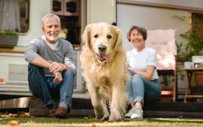 Dog-friendly holiday by Lake Balaton