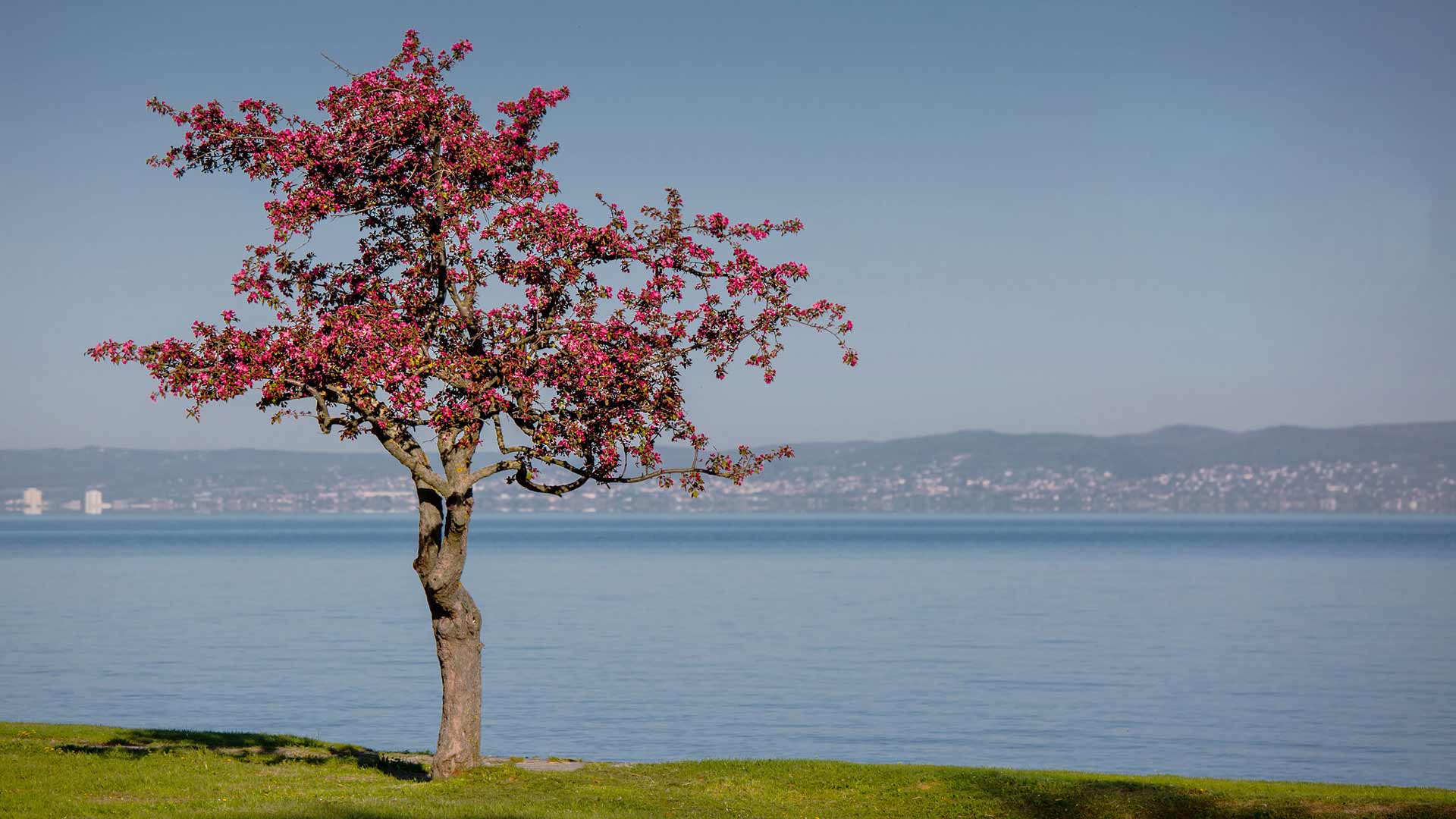 Saisoneröffnung Aranypart Camping Siofok